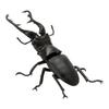 Украшение Скрученное Яйцо Насекомое Мини Жук Unicorus Dynastes Модель Животного Коллекция Настольное Украшение ФИГУРКА ИГРУШКИ