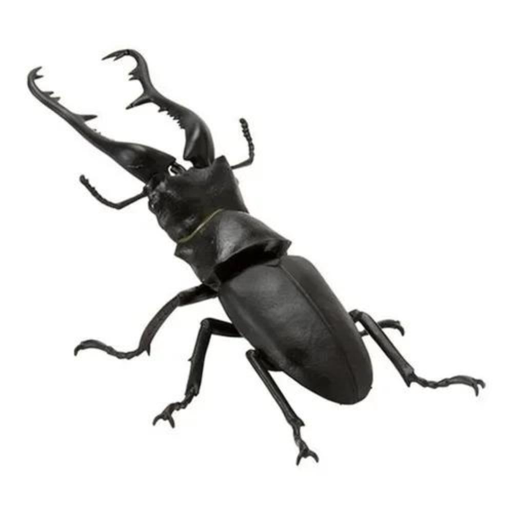 Украшение Скрученное Яйцо Насекомое Мини Жук Unicorus Dynastes Модель Животного Коллекция Настольное Украшение ФИГУРКА ИГРУШКИ