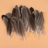 50Pcs Shellfish Feather Goose Feather Diy Handmade Jewelry Accessories Handicrafts Cat Toys Decorative Feathers