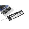 USB MIDI-клавиатура Korg microKEY 25