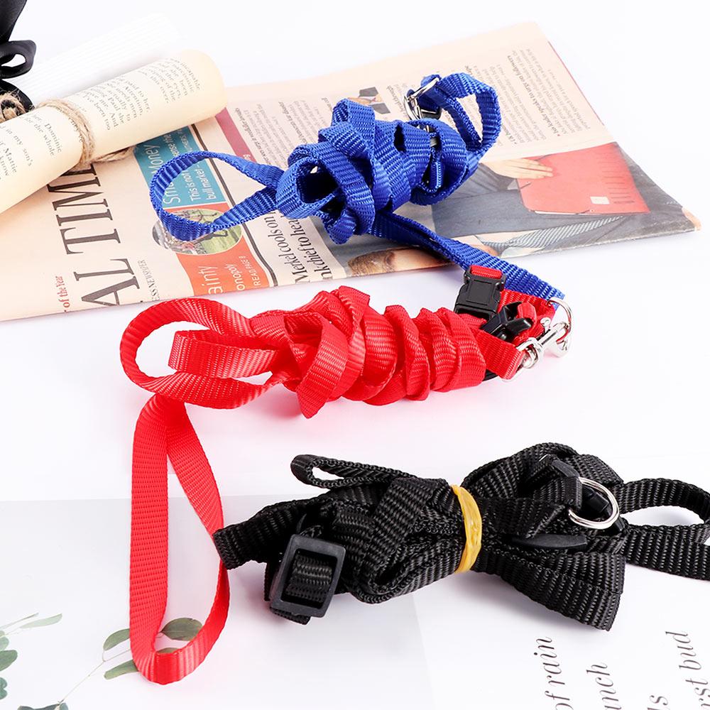 Pet Traction Training Cat Rope Cat Pet Rope Adjustable Cat Belt Nylon Harness Kitten Collar Rope