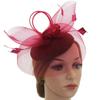 Exquisite Veil Hat Headwear Feathers Hairbands Vintage Bride Headband  Dance Show