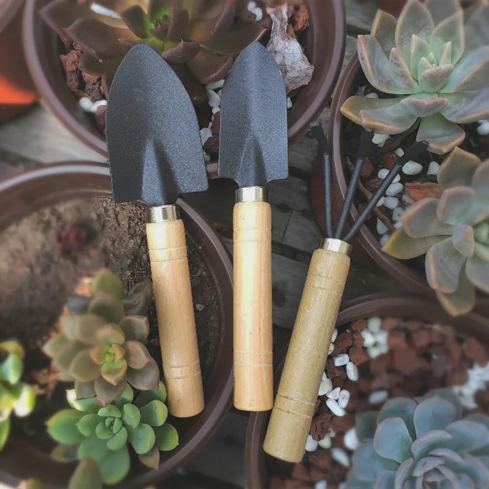 Садовый набор из трех предметов: Мини-лопата, рыхлитель почвы и приспособление для выращивания цветов для суккулентов