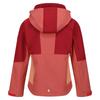 Regatta Childrens/Kids Haydenbury Soft Shell Jacket
