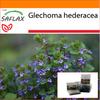 Garden in the Bag - Плющ молотый - 75 семян - С субстратом в подходящем пакете - Glechoma hederacea