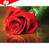 Diamond Mosaic Full Layout Flowers Diamond Painting New Arrivals Flower Diamond Embroidery