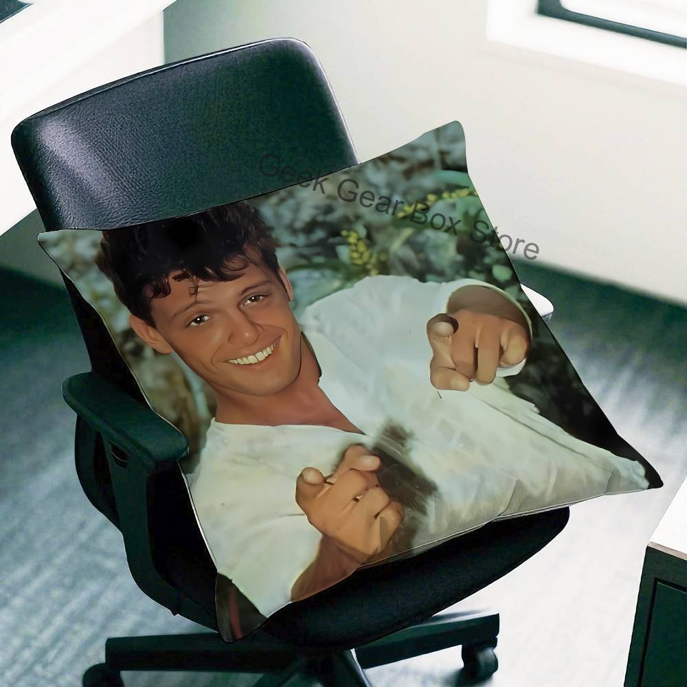 L-Luis Miguel Singer Pillow Case Plush Pillow Cases Home Decoration Pillow Cover For Sofa Bed Chair Living Room