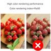 12V Mini COB LED Adjustable Recessed Downlight Driverless Cabinet Showcase Lighting White Body 5 10 Pack