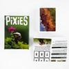 NEW Pixies Card Game Fast-Paced Party Game for 2-5 Players 30 Minutes Fun Family Time Reaction Skill Booster
