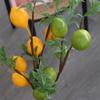 Plastic Simulation Lemon Fruit Tree DIY Fake Plants Artificial Lemon Branch  Party Wedding Decor