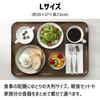 TATSU-CRAFT Magnetic Tray Large 39cm Natural Non-Slip Refrigerator Storage Kitchen Steel