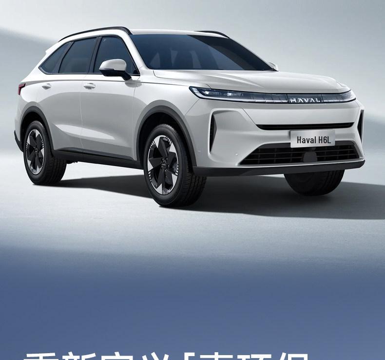 Защитные коврики на спинки задних сидений Haval H6L и аксессуары для отделки салона