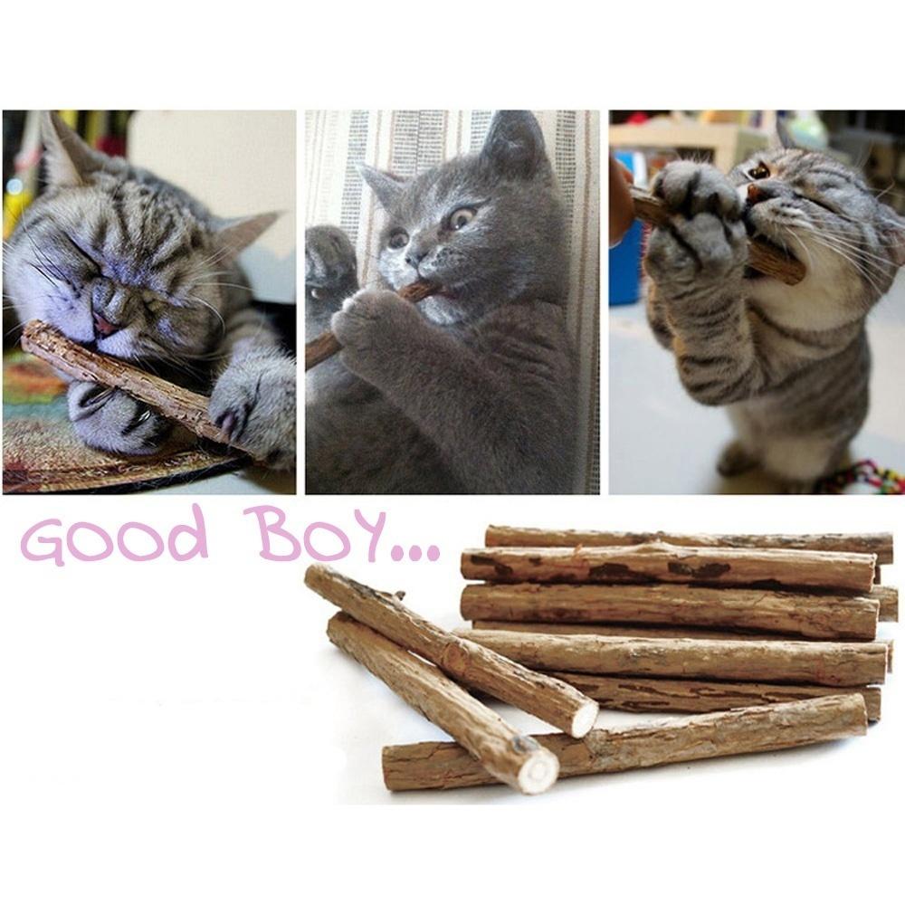 5/10pcs Organic Catnip Toys Natural Plants Cat Teeth Cleaning Chew Toys
