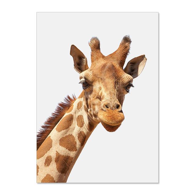 Modern Animal Elephant Giraffe Alpaca Lion Canvas Paiting Wall Art Prints And Posters Wall Pictures For Living Room Home Décor No Frame