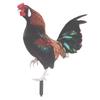 Stereoscopic Cock Decor Ground Stake Ornament Colorful Rooster Statue for Outdoor Garden Courtyard
