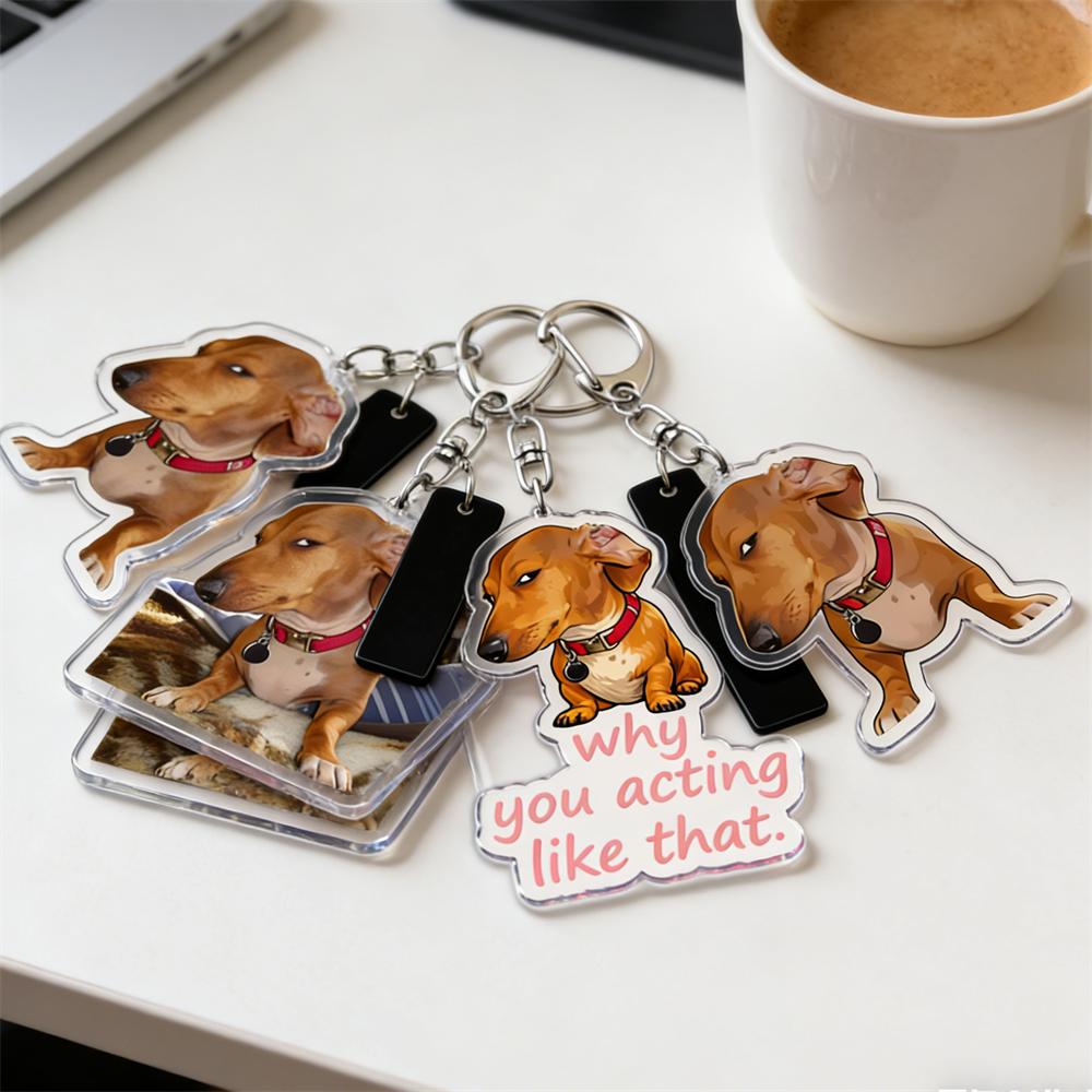 Funny Suspicious Dog Meme Face Keychains for Accessories Bag Fun Side Eye Puppy Dachshund Keyrings Jewelry Fans Friends Gifts