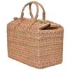 Basket Picnic Bag - Dry Grass Natural Cane Lunch Bag with Handle, Water Hyacinth Tote for Fruits & Vegetables - Natural Color (Medium)