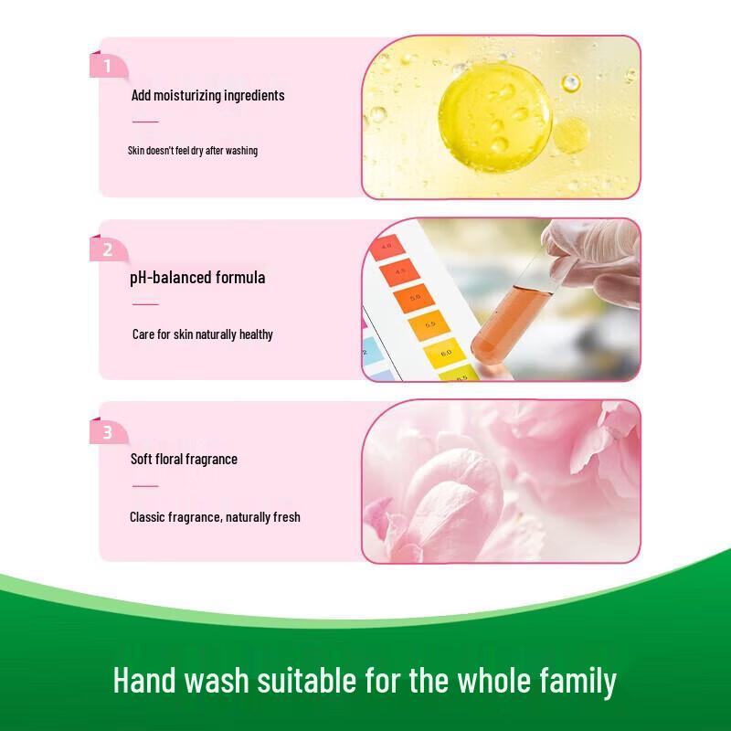 Dettol Antibacterial Moisturizing Hand Wash Family Pack