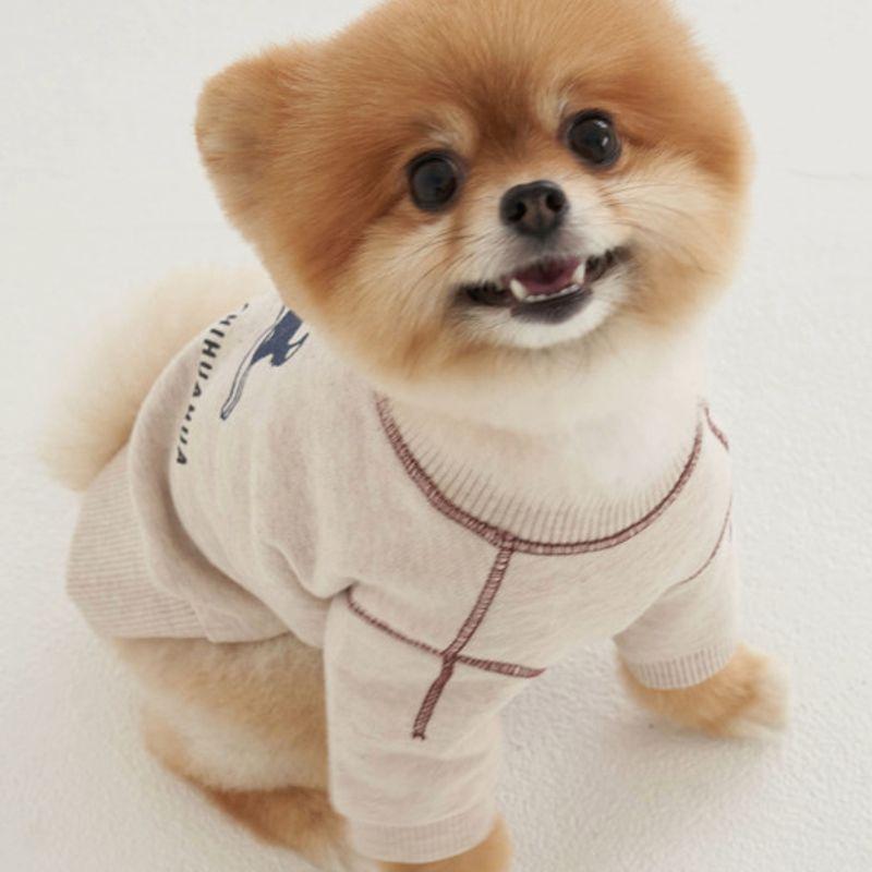 Худи с графикой логотипа CROOKTHECHIHUAHUA - кокосовое молоко