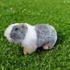 18cm Guinea Pig Plush Doll 3D Eyes Fluffy Hair Realistic Rat Doll Plushies Ornament Lovely Simulation Stuffed Rodent Doll Toy Birthday Gift
