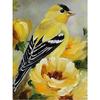 DIY Bird 5D Diamond Painting Full Round Drill Resin Animal Diamond Embroidery Cross Stitch Kits Wall Art  Home Decor Gift