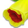 Роза, меняющая цвет, игрушка-трюк, цветок от красного к желтому, сценические иллюзии, реквизит, свадебная вечеринка, сюрприз на день святого Валентина, новичок