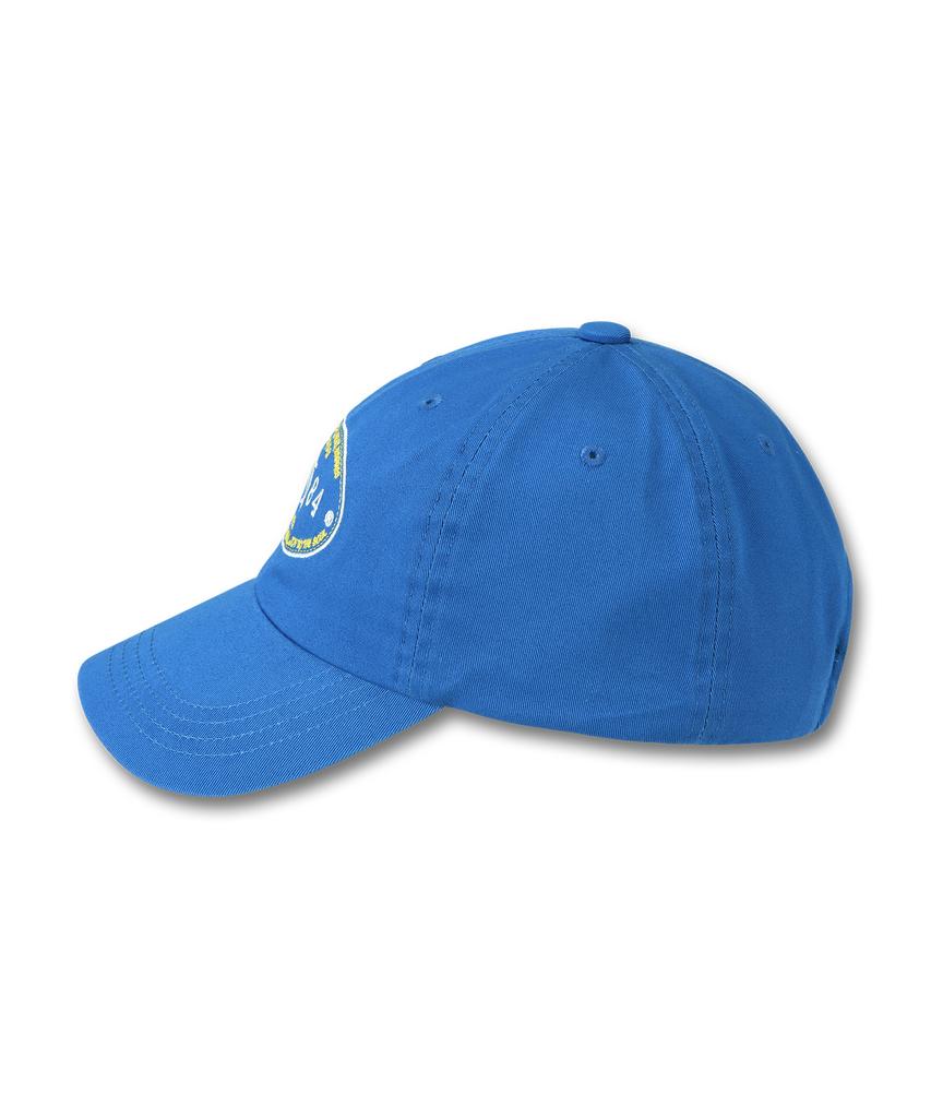 DOLPHIN WAVE APPAREL Синяя овальная кепка-бейсболка с дельфином