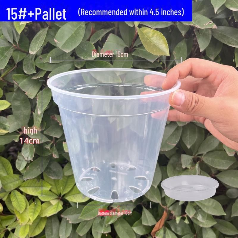 Clear Plastic Orchid Pot: Sphagnum Moss, Square & Round Design for Phalaenopsis or Fish Tanks