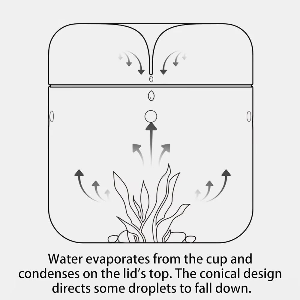 Стеклянные бутылки Творческая коллекция росы Ваза Микроландшафт Суккулентный мох Бонсай Террариум Домашний декор