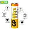 GP High Energy Alkaline AA Batteries CN plug (adapter included)