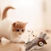 Interactive Cat Toys Flying Bird Cat Toy Flapping Wings Sparrow Catnip Toys Vivid Chirpi]ng Simulation Bird Interactive Cat Toy