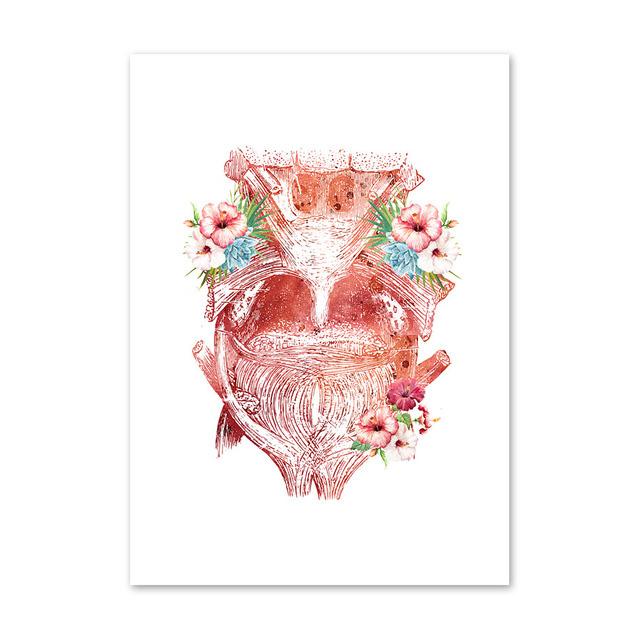 Анатомия стены книги по искусству цветок груди матки печень почки холст картины плакаты на скандинавскую тему печать украшения фотографии для врача офиса