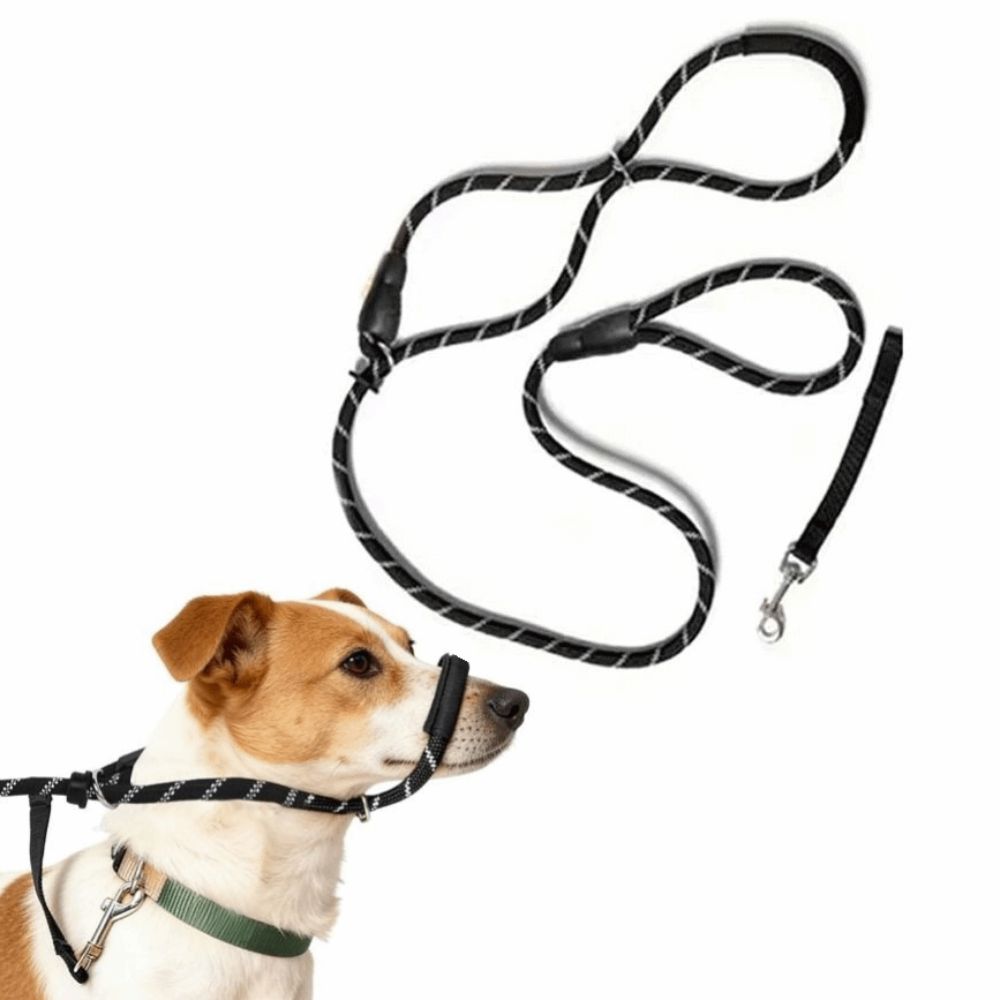 2in1 Dog Leash with Anti-Bite Muzzle Bite Resistant Elastic Traction Rope Outdoor Walking