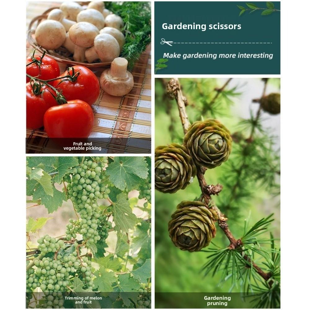 Stainless Steel Straight Head Pruning Shears 190mm Bonsai Scissors Trimming Tools  Plant Trimming