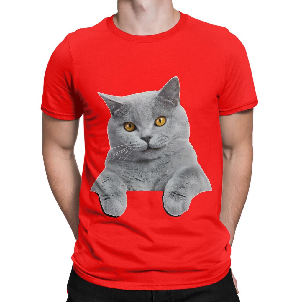 British Shorthair Painting Funny 100 Cotton Tshirt Shorthair Tops Tees For Unisex