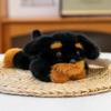 Panda Palm Treasure Cute Rabbit Pet Plush Toy Doll Soft Stuffed Animal Sleeping Pillow Cushion Christmas Gifts for Kids