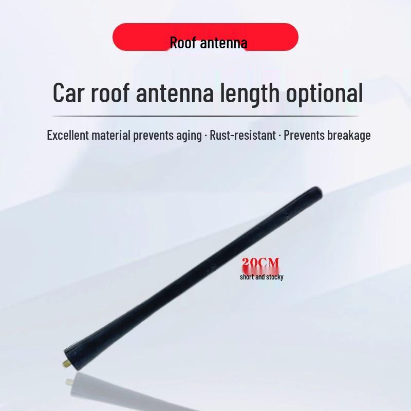 Ford Classic Focus Escape EcoSport Fiesta Escort Short Antenna Replacement