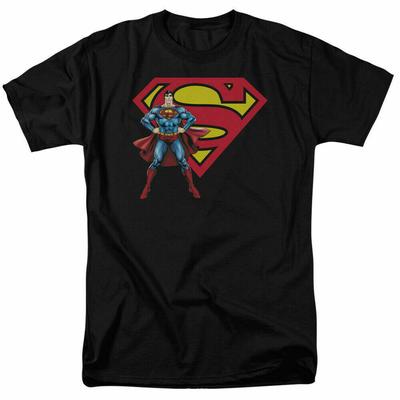 26 Superman & Logo T Shirt Licensed Comic Book Movie Tee Black Unisex T-Shirt