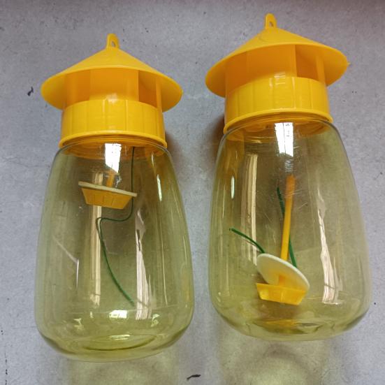 Fruit Fly Trap for Garden Hanging Melon Fly Catcher Outdoor Fly Trap Capture Fruit Flies from Trees Melons for Home Orchard