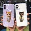 Забавный прозрачный чехол для телефона с кошкой для iPhone 13 14 Pro 11 12 15 Pro Max XR XS X 7 8 Plus SE3 Мягкий противоударный чехол