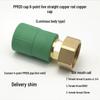 PPR Water Heater Union Pre-Filter Connector: 25 To 1 Inch, 4-6 Points, 32 Straight Elbow, Copper Water Pipe Fittings