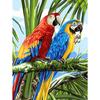 DIY 5D алмазная живопись животное попугай горный хрусталь фотографии полная алмазная вышивка мозаика комплект для вышивки крестом домашний декор подарки