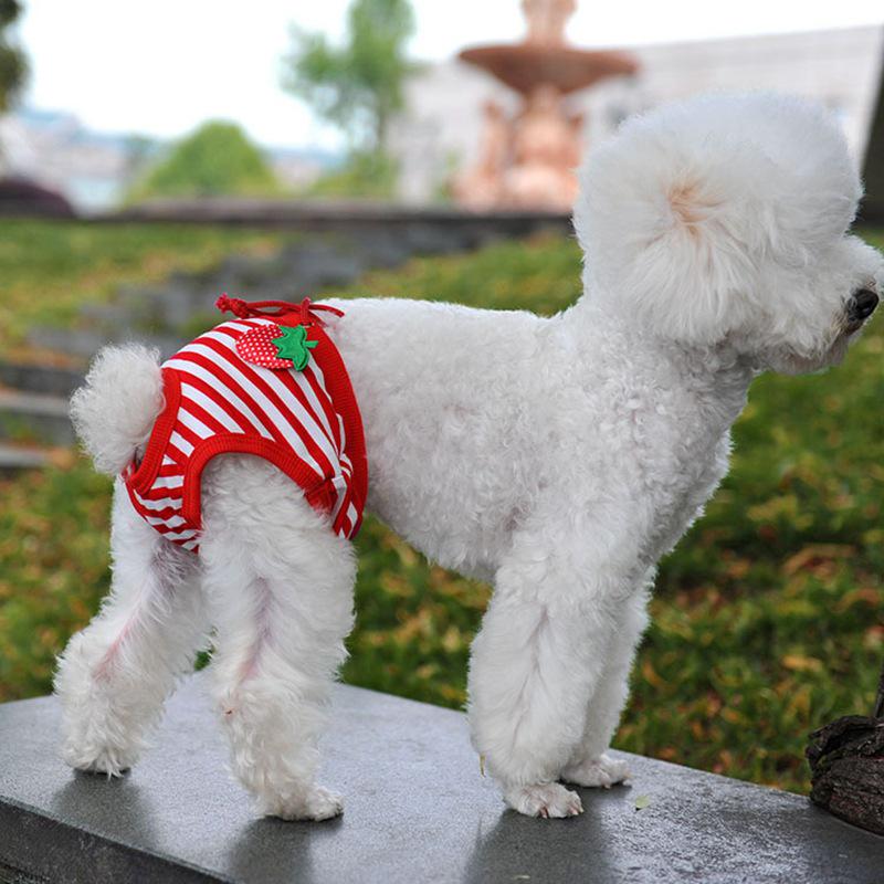 Очаровательные полосатые гигиенические штанишки принцессы клубнично-розового цвета для собак