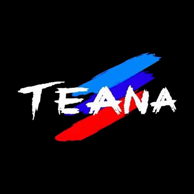 Светодиодная проекция на дверь автомобиля Nissan Welcome для Teana