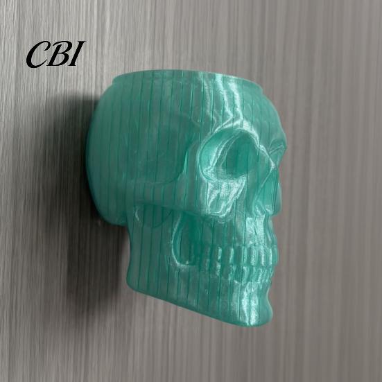 Gothic Wall Vase Skull Planter, Skeleton Hanging Spooky Head Ivy Holder Flower Pot for Halloween Living Room Bedroom Home Decor Centerpiece