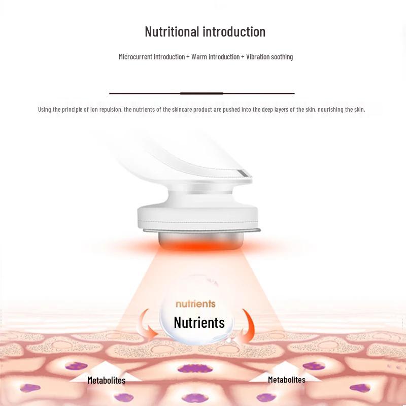 Jindao KD9960 Facial Cleansing & Nutrient Infusion Device CN plug (adapter included)