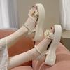 French Flower High Heels Beach Sandals 2025 Summer New Wear Fairy Style with Skirt Platform Sandals Female