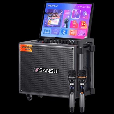 Портативная уличная караоке-система SANSUI Q065 с дисплеем, штекер CN (адаптер в комплекте)
