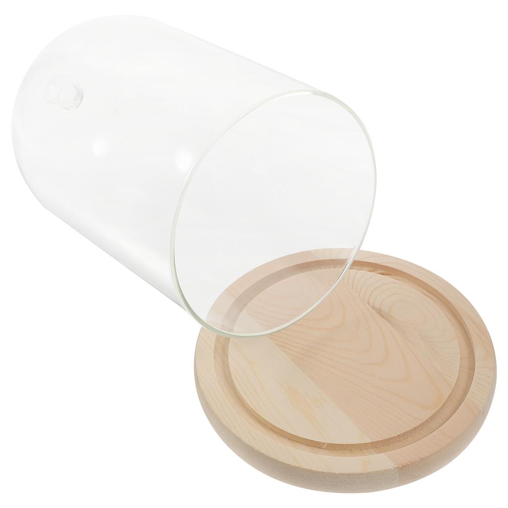 Декор для столешницы Сухоцветы Стеклянная крышка Ваза Прозрачные украшения Деревянные консервированные