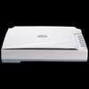 Founder Z2400 A3 Flatbed & ADF Scanner CN plug (adapter included)